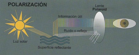 Diagrama de Polarizacion
